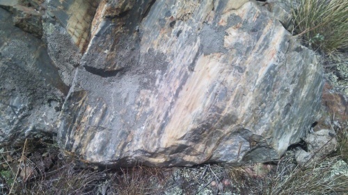 Гигантские зелёные валуны для ландшафтного дизайна весом более 5 тонн купить в Качканаре