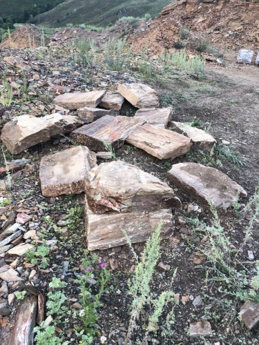 Плитняк кора дерева 50-100мм для пошаговых дорожек купить в Качканаре